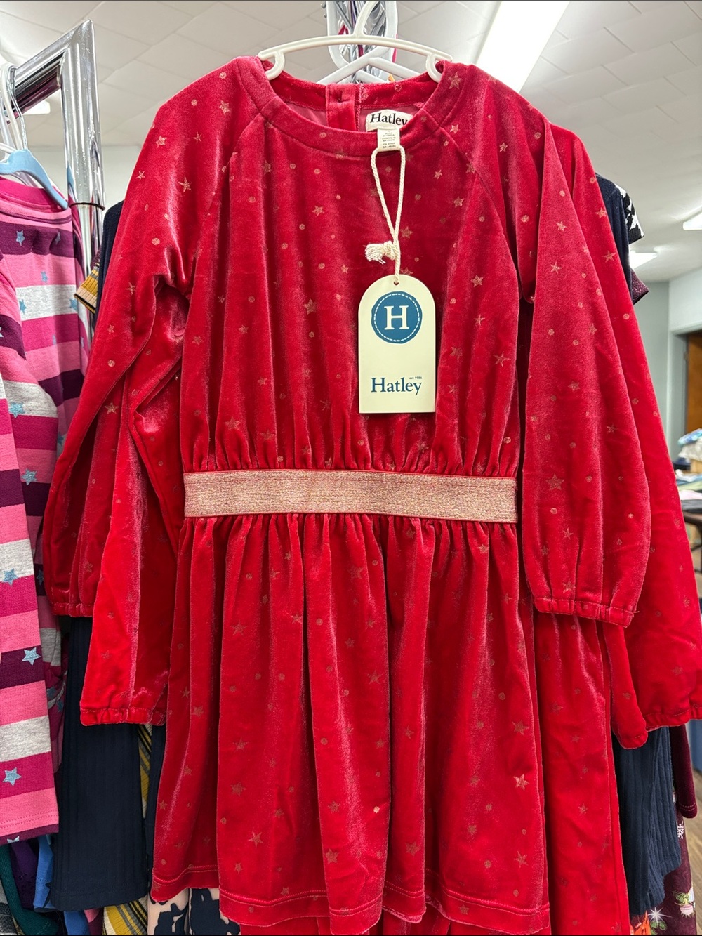 Hatley Red Velvet Star Dress with Metallic Rose Waistband
